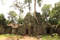 Ta Prohm Royalty Free Stock Photo