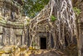 Ta Prohm in Cambodia