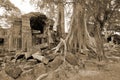 Ta Prohm is the modern name of a temple originally called Rajavihara. East of Angkor Thom