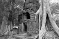 Ta Prohm is the modern name of a temple originally called Rajavihara.