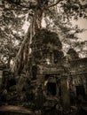 Ta Prohm (Rajavihara) in Angkor, Siem Reap, Cambodia.