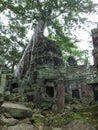 Ta Prohm (Rajavihara), a temple at Angkor, Province, Cambodia.