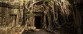 Ta Prohm roots gate panoramic