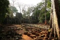 Ta Prohm ruin temple, Cambodia