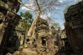 Ta Prohm ruins