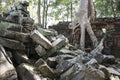 Ta Prohm. Siem Reap. Cambodia Royalty Free Stock Photo