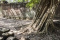 Ta Prohm. Siem Reap. Cambodia Royalty Free Stock Photo