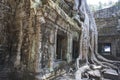 Ta Prohm. Siem Reap. Cambodia Royalty Free Stock Photo