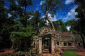 Ta Prohm and the overgrown temple in the jungle