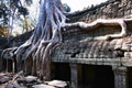 Ta Prohm temple,Angkor Royalty Free Stock Photo