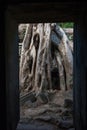 Ta Prohm Temple, Angkor, Cambodia Royalty Free Stock Photo