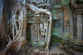 Ta Prohm Temple, Angkor, Cambodia Royalty Free Stock Photo