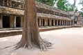 Ta Prohm Temple, Angkor Wat, Cambodia Royalty Free Stock Photo