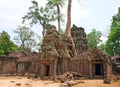 Ta Prohm Temple, Angkor Wat, Cambodia Royalty Free Stock Photo