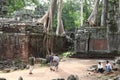 Ta Prohm Temple in AngKor Wat Royalty Free Stock Photo