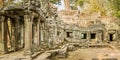 Ta Prohm Temple in Cambodia.