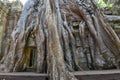 Ta Prohm temple at Angkor Wat complex, Siem Reap, Cambodia Royalty Free Stock Photo