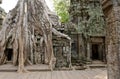 Ta Prohm Temple in jungles of Cambodia