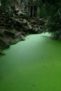 Ta Prohm temple lake