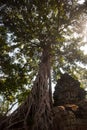 Ta Prohm temple