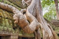 Ta Prohm the temple ruins overgrown with trees at Angkor, Siem Royalty Free Stock Photo