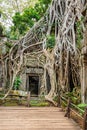 Ta Prohm the temple ruins overgrown with trees at Angkor, Siem Royalty Free Stock Photo