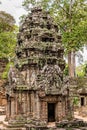 Ta Prohm the temple ruins overgrown with trees at Angkor, Siem Royalty Free Stock Photo