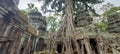 ta prohm temple Seam Reap Camboja Royalty Free Stock Photo