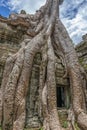 Ta Prohm temple Siem Reap, Angkor Wat, Cambodia