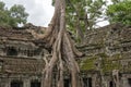 Ta Prohm temple Siem Reap, Angkor Wat, Cambodia