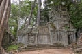 Ta Prohm temple Siem Reap, Angkor Wat, Cambodia