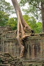 Ta Prohm Temple Royalty Free Stock Photo