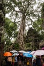 Ta Prohm Temple Siem Reap Cambodia- Ancient Angkor Royalty Free Stock Photo