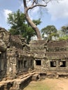 Ta Prohm Temple tomb raider temple