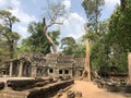 Ta Prohm Temple tomb raider temple