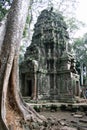 Ta Prohm with tree trunk, Siem Reap