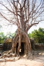 Ta Som temple, Angkor area, Siem Reap, Cambodia Royalty Free Stock Photo