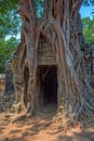 Ta Som temple, Angkor area, Siem Reap, Cambodia Royalty Free Stock Photo