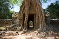 Ta Som Temple, Angkor, Cambodia Royalty Free Stock Photo