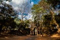 Ta som temple Angkor Cambodia Royalty Free Stock Photo