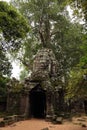 Ta Som Temple in Angkor Cambodia