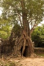 Ta Som temple, Angkor, Cambodia Royalty Free Stock Photo