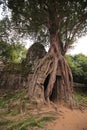 Ta Som Temple in Angkor