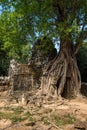 Ta Som temple in Angkor Wat complex, Cambodia, Asia Royalty Free Stock Photo