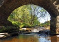 View under the old packhorse bridge at lumb hole falls in woodland at crimsworth dean near pecket well in calderdale west Royalty Free Stock Photo