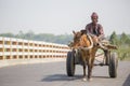 Horse and cart in the village of Gorpara, Manikgonj , Bangladesh. Royalty Free Stock Photo