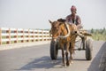 Horse and cart in the village of Gorpara, Manikgonj , Bangladesh. Royalty Free Stock Photo