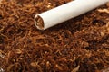 Tabacco product Royalty Free Stock Photo