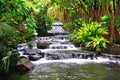 Tabacon hot springs, Costa Rica Royalty Free Stock Photo