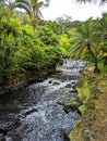 Tabacon hot springs in Costa Rica Royalty Free Stock Photo